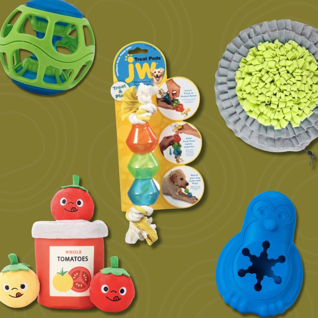 Food Puzzles & Enrichment