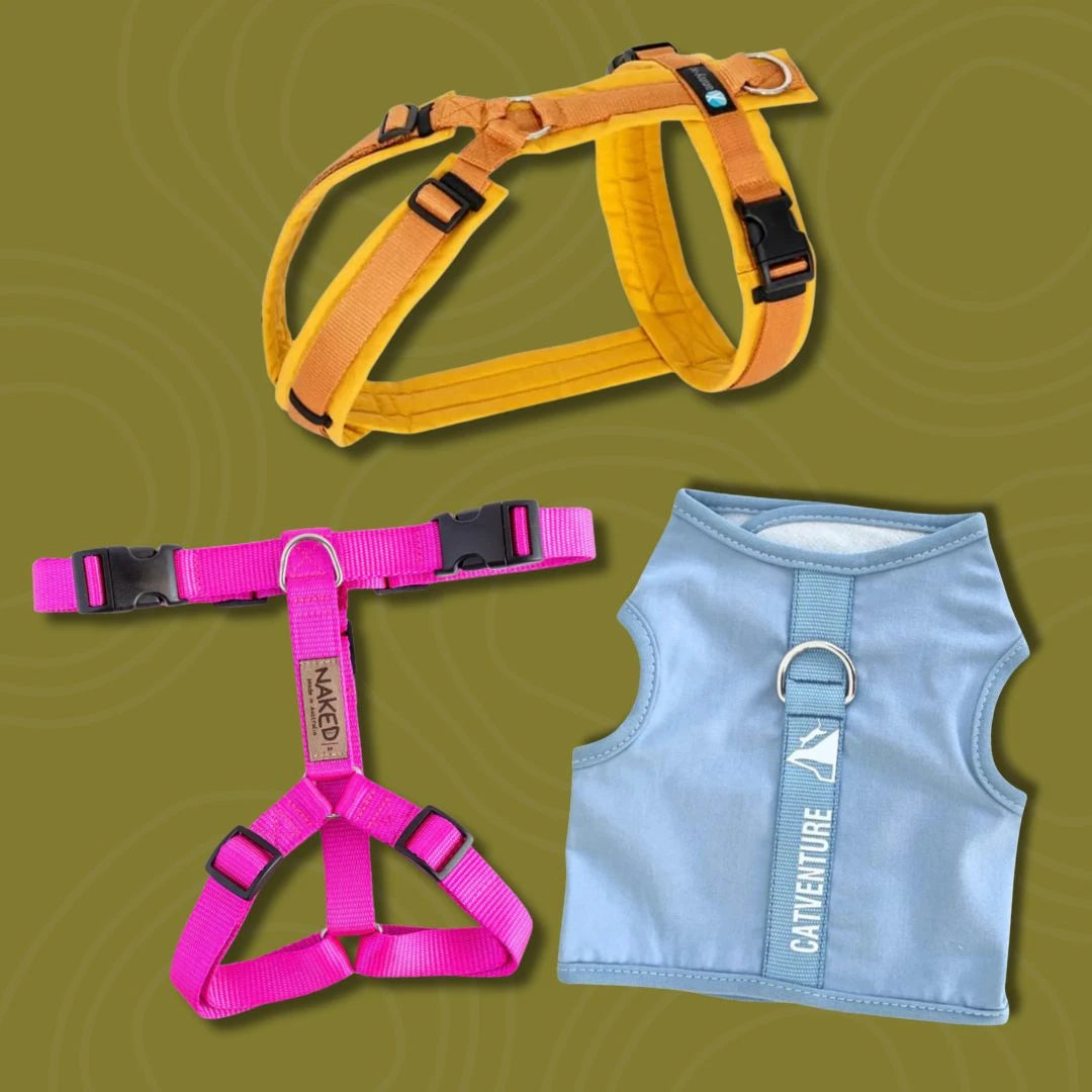 Harnesses