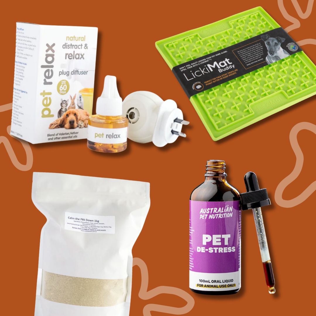 Anxiety / Stress Support