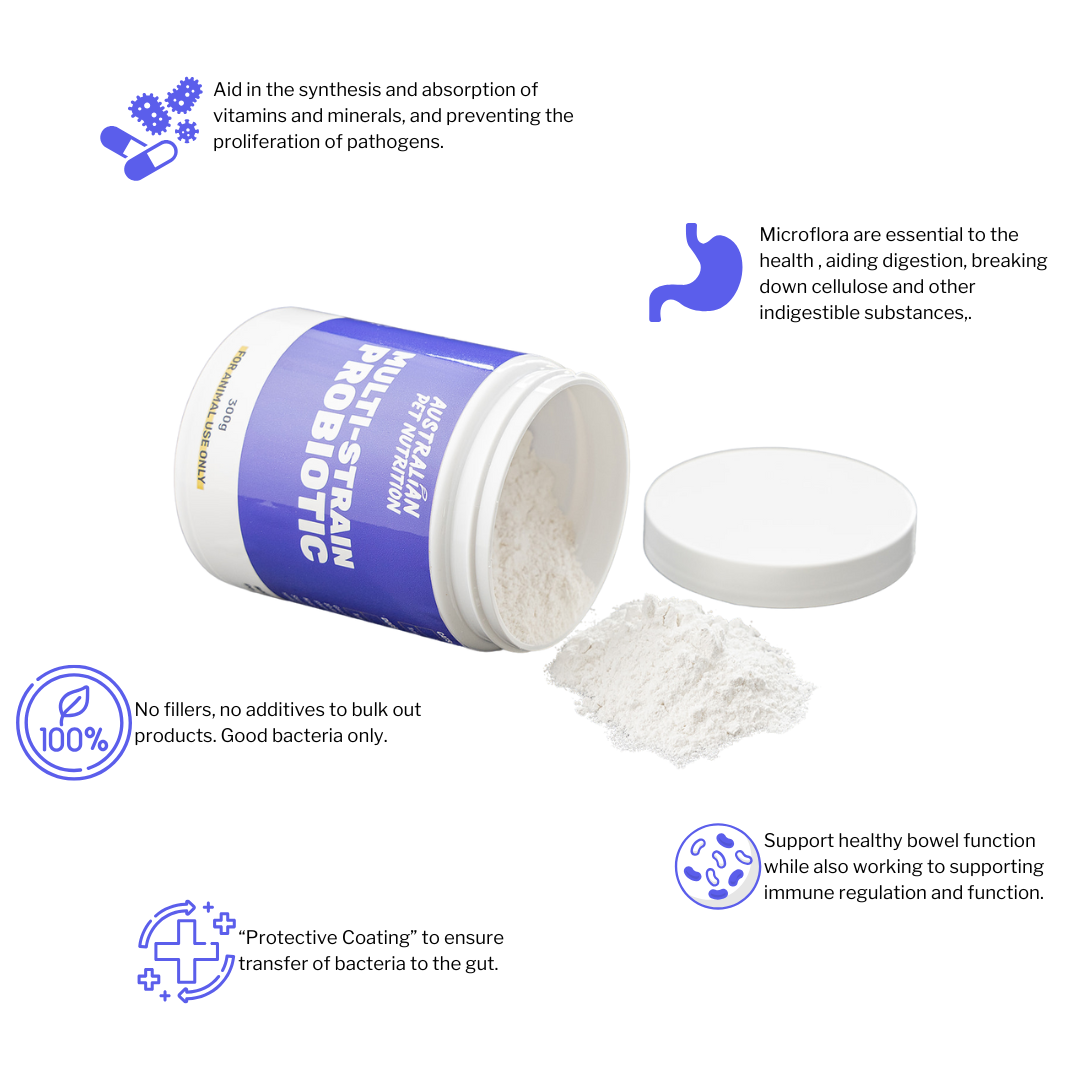 Multistrain Probiotic