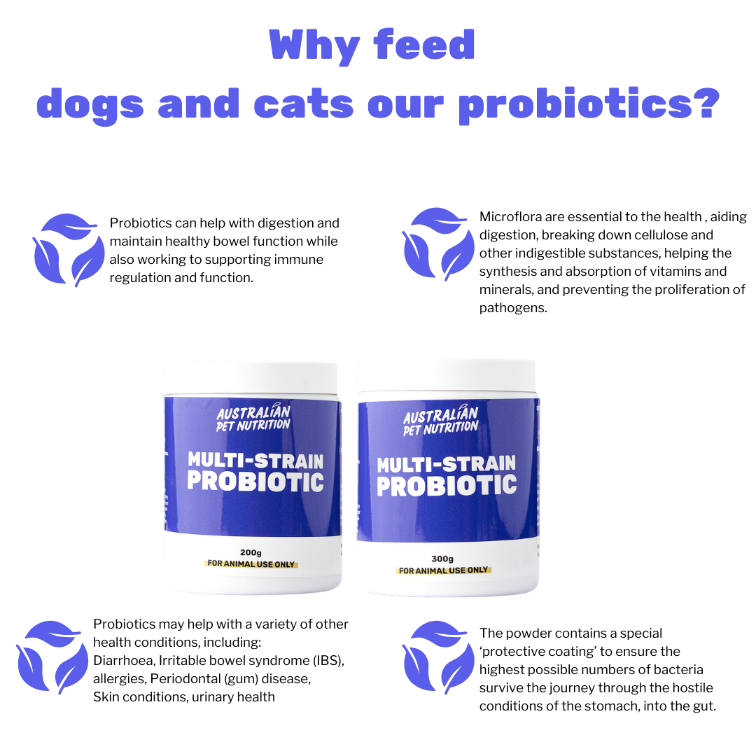 Multistrain Probiotic