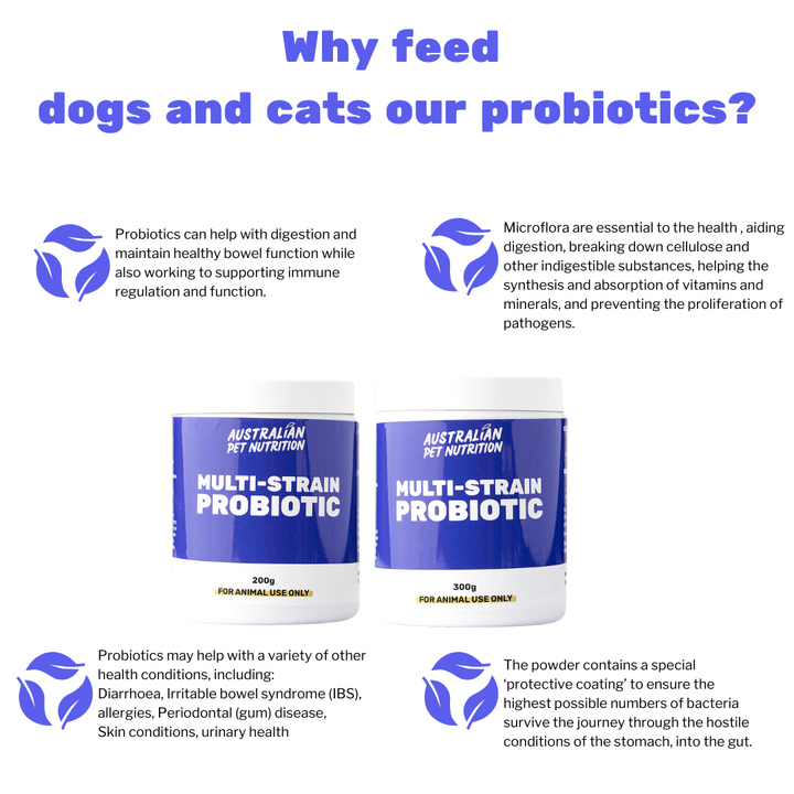 Multistrain Probiotic