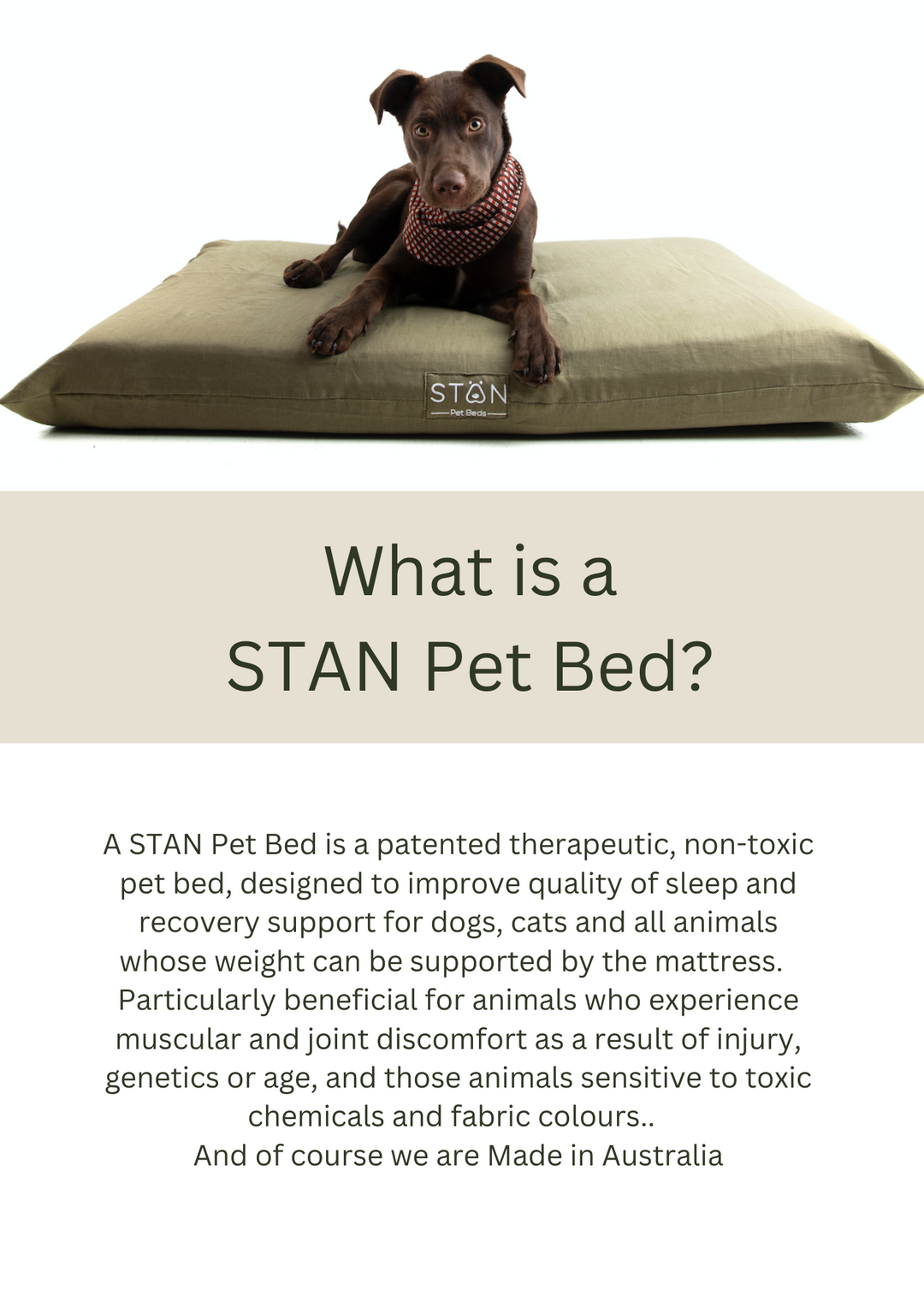 Stan Active Dog Bed