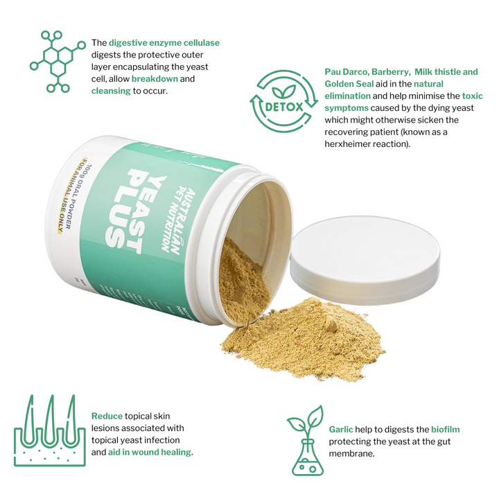 Yeast Plus