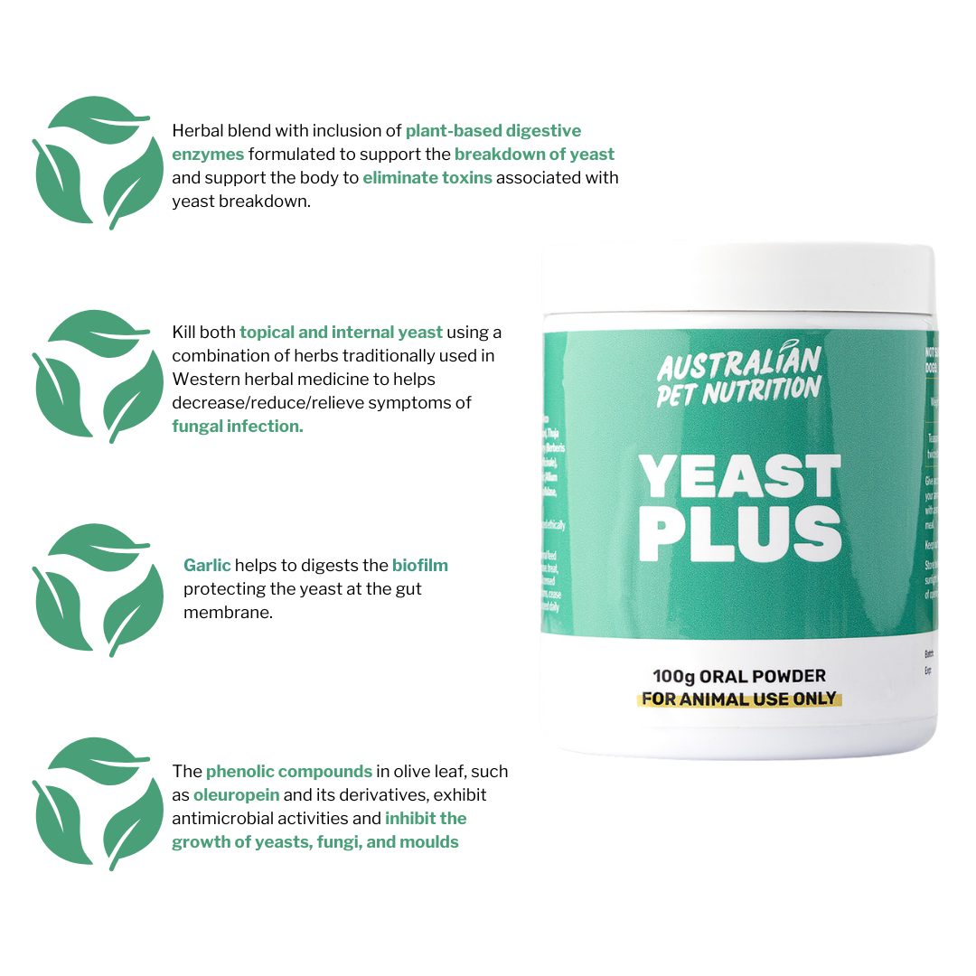 Yeast Plus