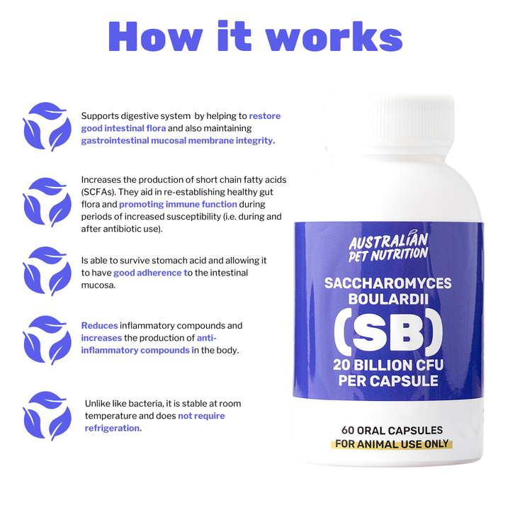 Saccharomyces Boulardii (SB) 20billion CFU (60 caps)
