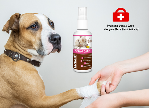 LUCAA+ Pet Probiotic Dermo (Wound) Care - 100ml Spray