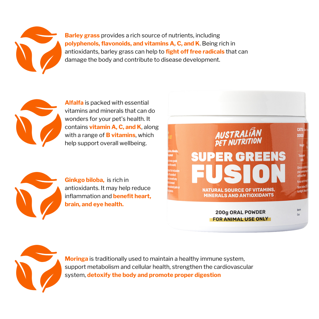 Super Greens Fusion 200g
