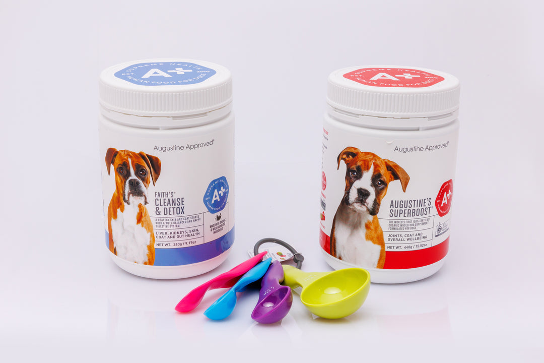 Augustine Approved Bundle Large