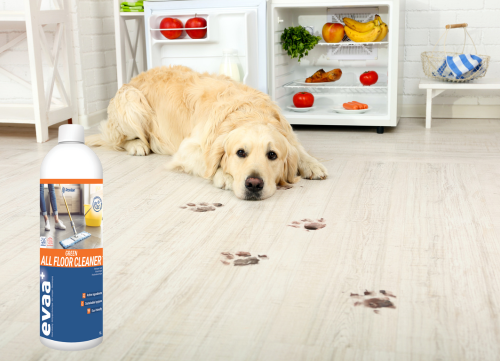EVAA+ Probiotic Floor Cleaner Concentrate *