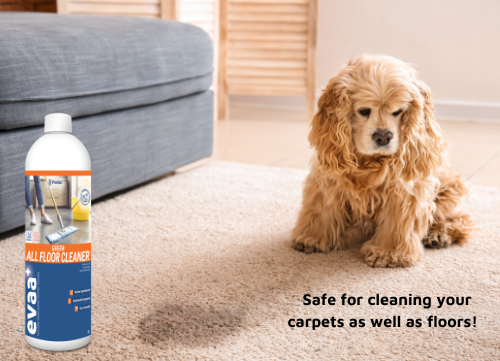 EVAA+ Probiotic Floor Cleaner Concentrate *