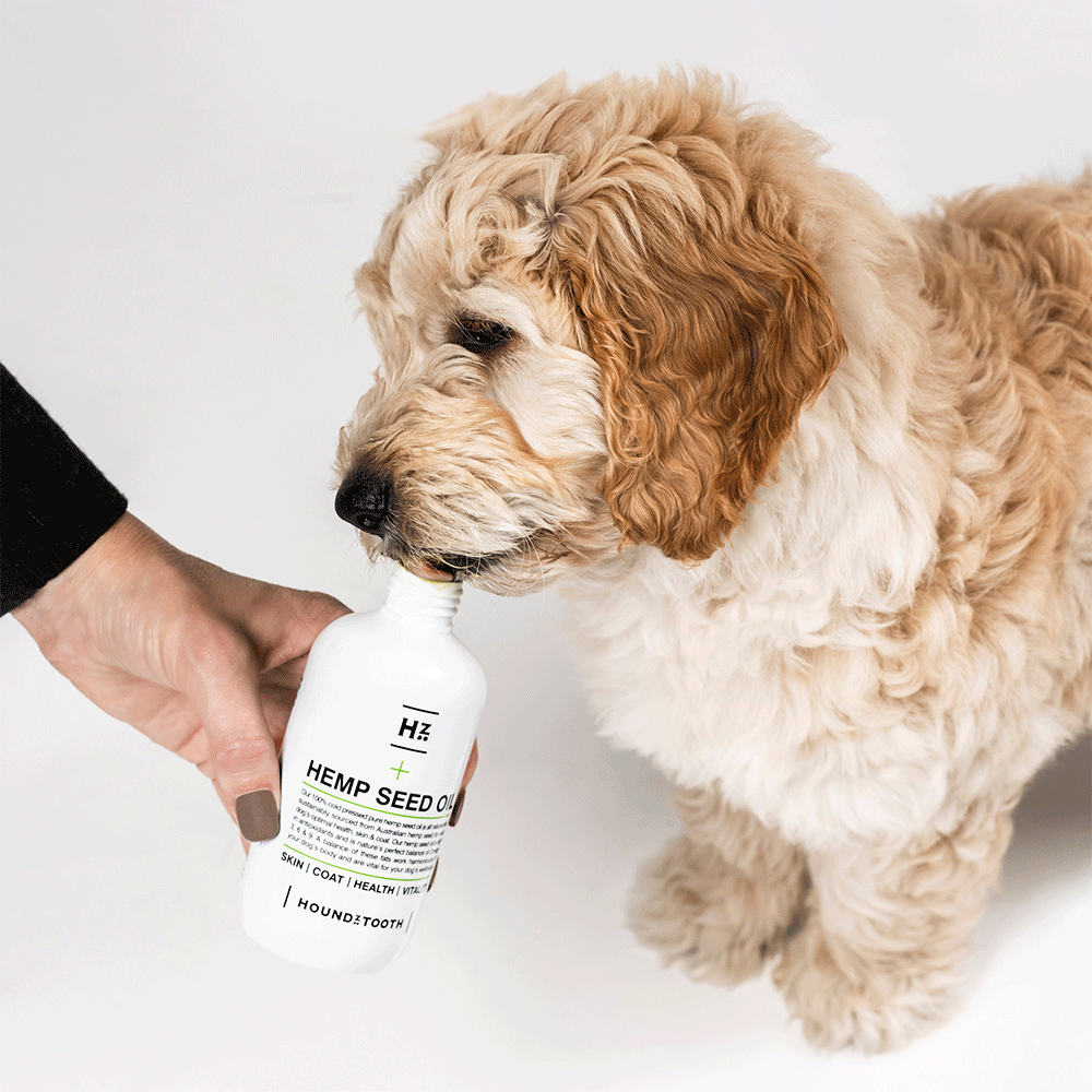 100% Cold Pressed Hemp Seed Oil for Dogs 250ml