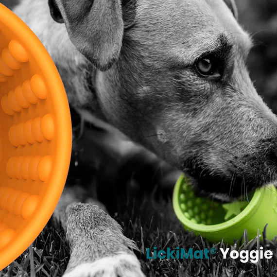 Lickimat Yoggie Pot