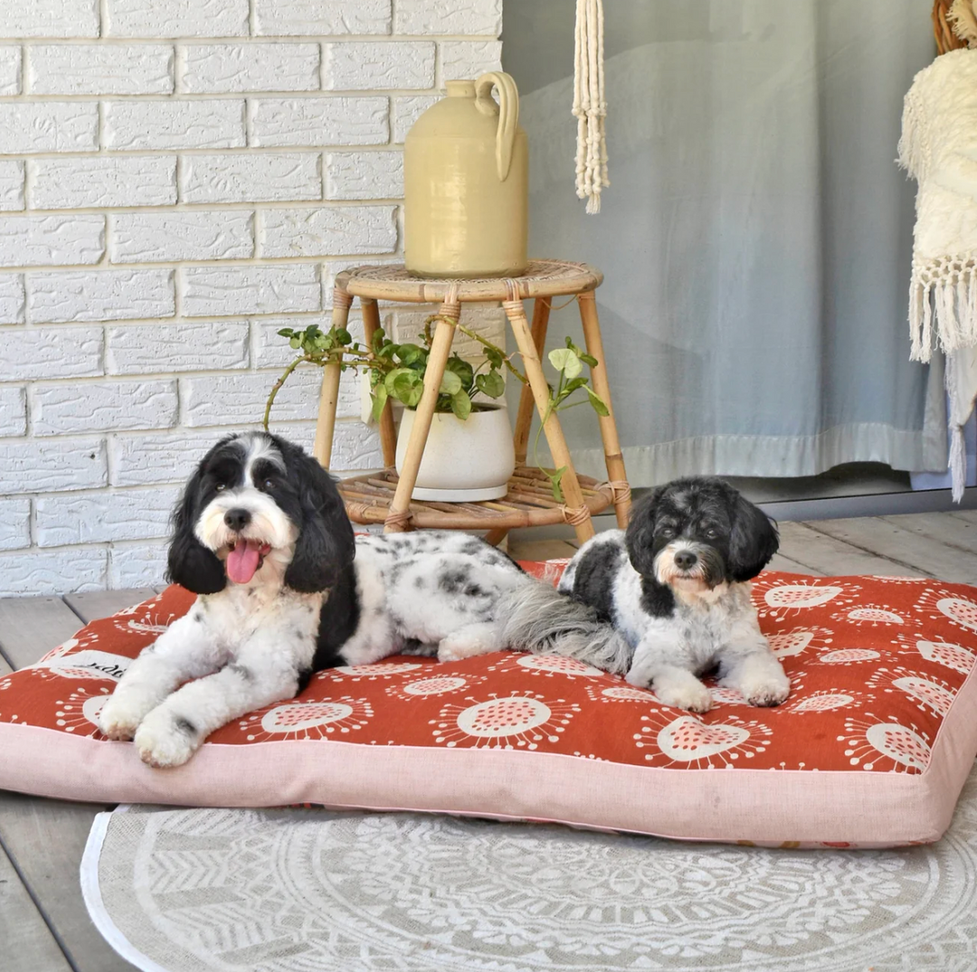 Indie Boho Pet Bed XXL *