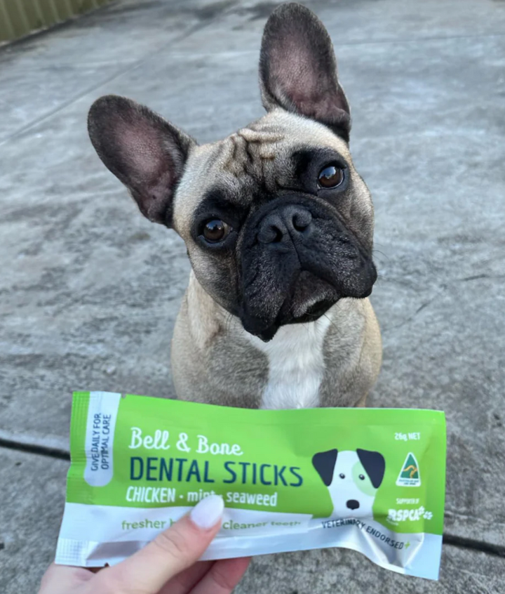 Bell & Bone Dental Stick Single