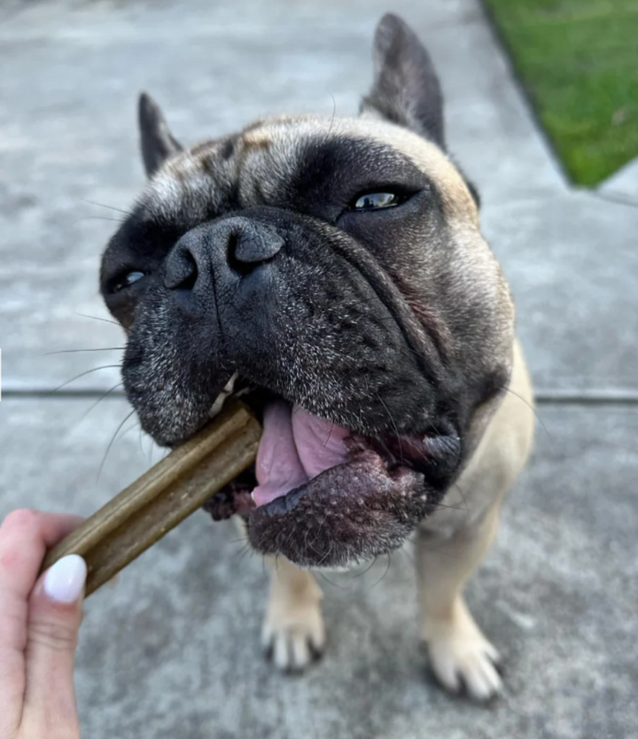 Bell & Bone Dental Stick Single