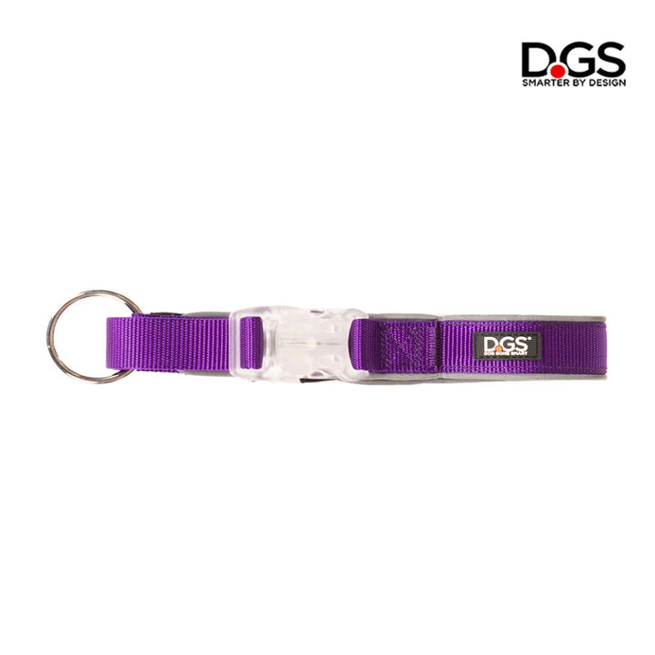 LED Safety Collar *