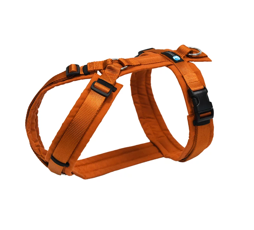Anny.x Harness Fun Long/Short – Aussie Pooch Nutrition & Wellbeing