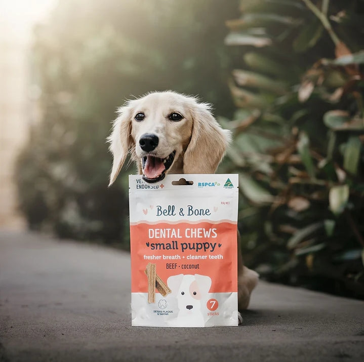 Bell Bone Dental Sticks Puppy – Aussie Pooch Nutrition Wellbeing