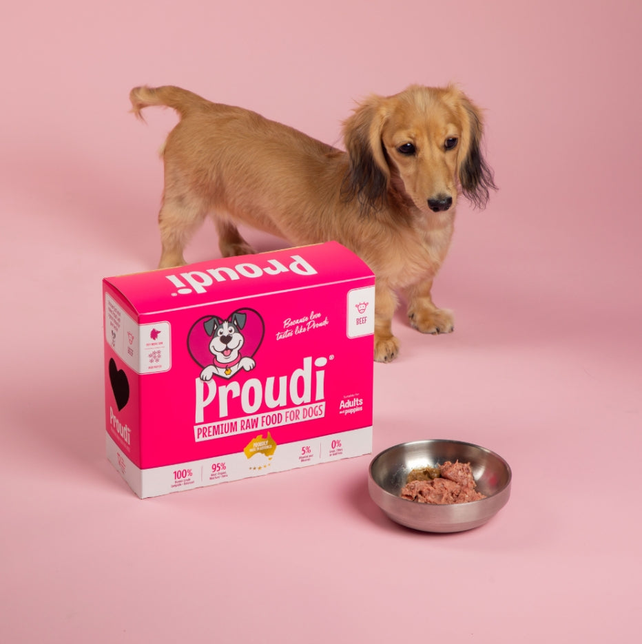Proudi Dog Range 2.4kg (12x200g)