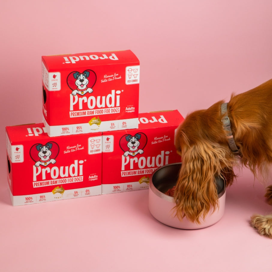 Proudi Dog Range 2.4kg (12x200g)