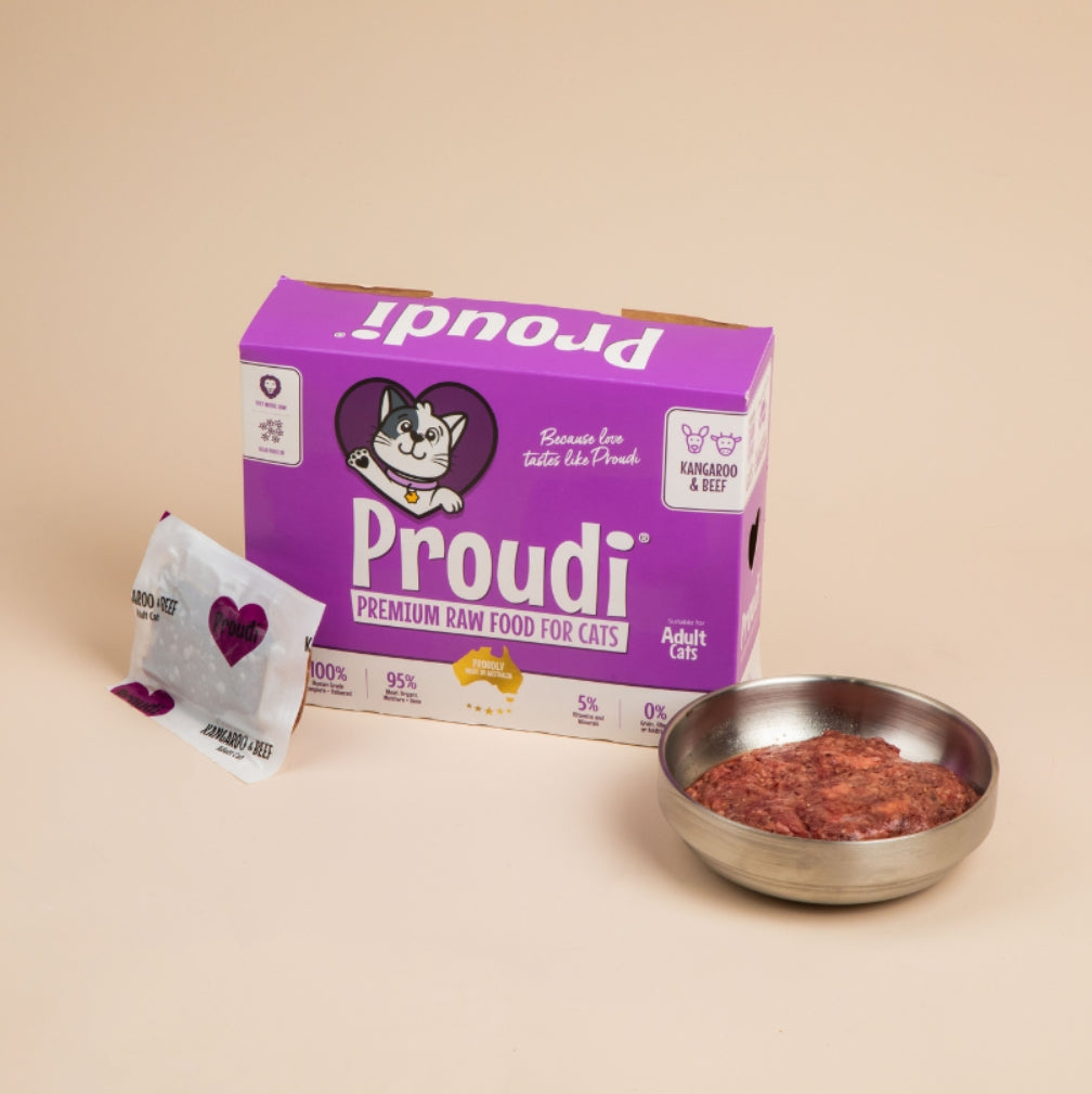 Proudi Cat Range 12x90g