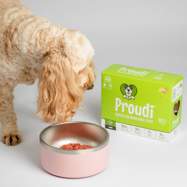 Proudi Dog Range 2.4kg (12x200g)