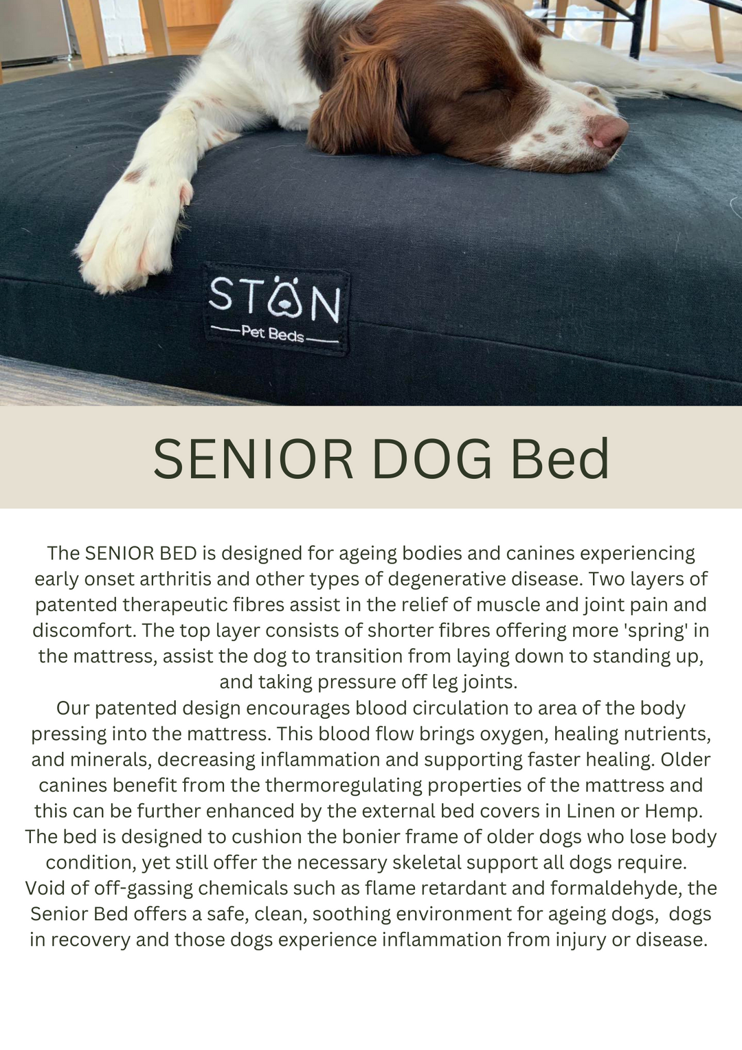 Stan Senior Dog Bed