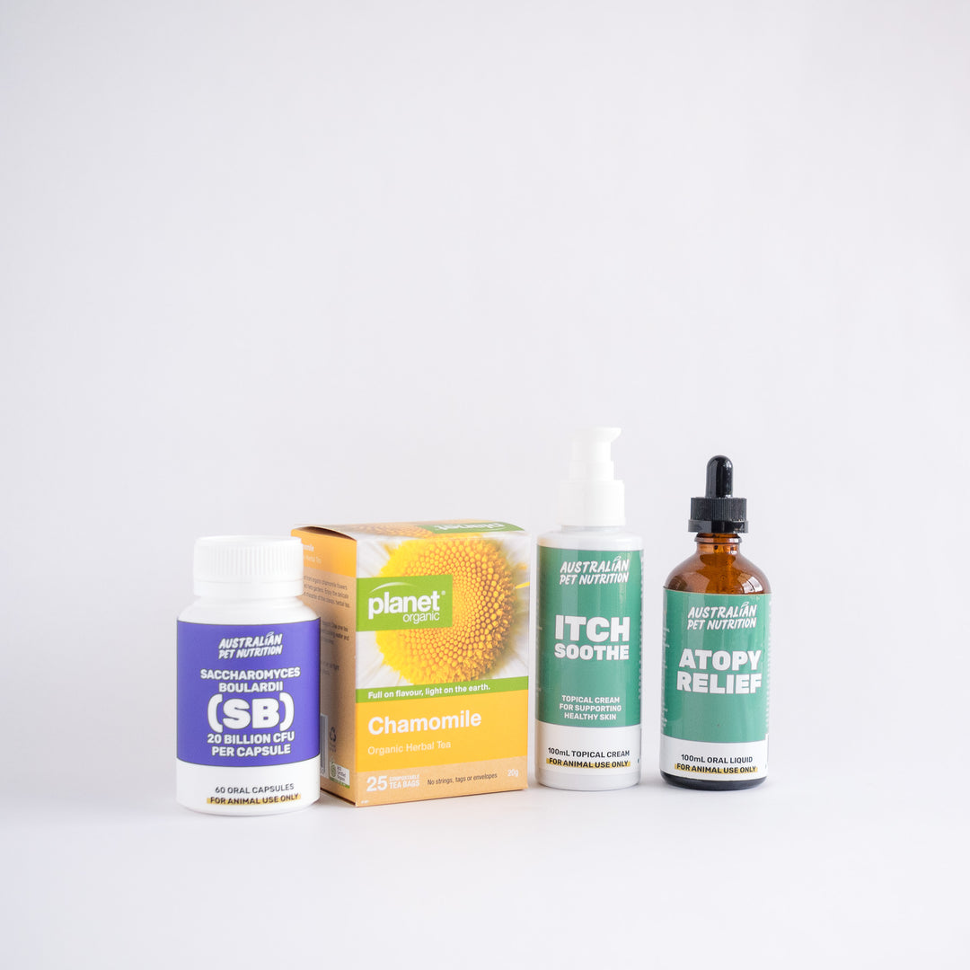 Environmental Allergy Support Bundle
