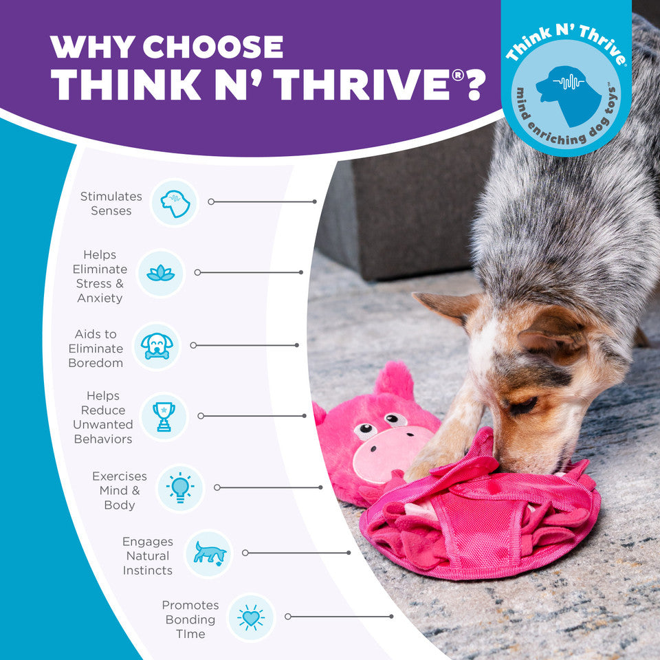 Outward Hound Snuffle Palz