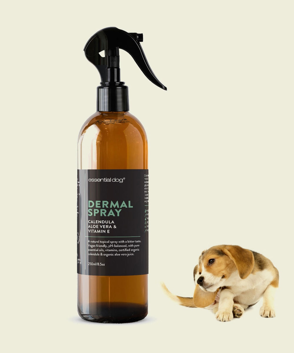 Dermal Scratch Spray 250ml