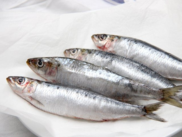 Pilchards Whole *