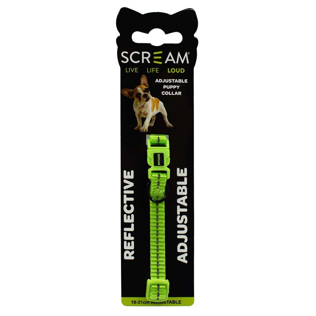 Scream Reflective Nylon Puppy Collar 19-31cm