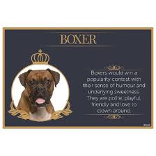 Fine Dining Pet Placemat *