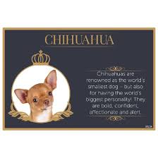 Fine Dining Pet Placemat *