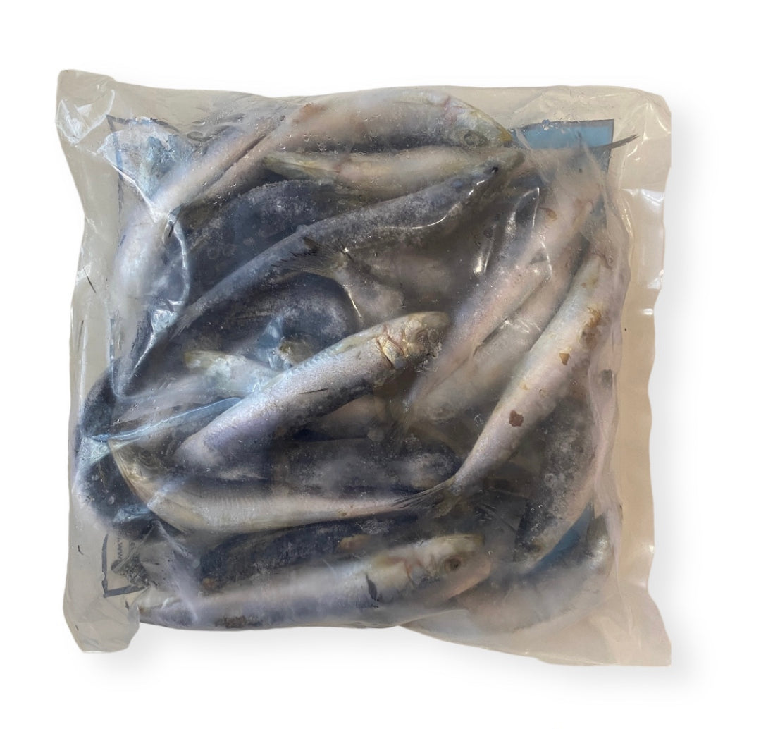 Pilchards Whole *