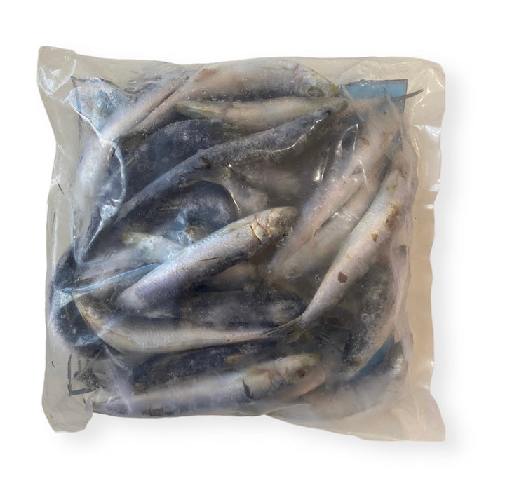 Pilchards Whole *