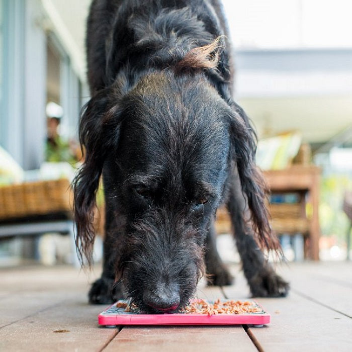 Lickimat Tuff Playdate