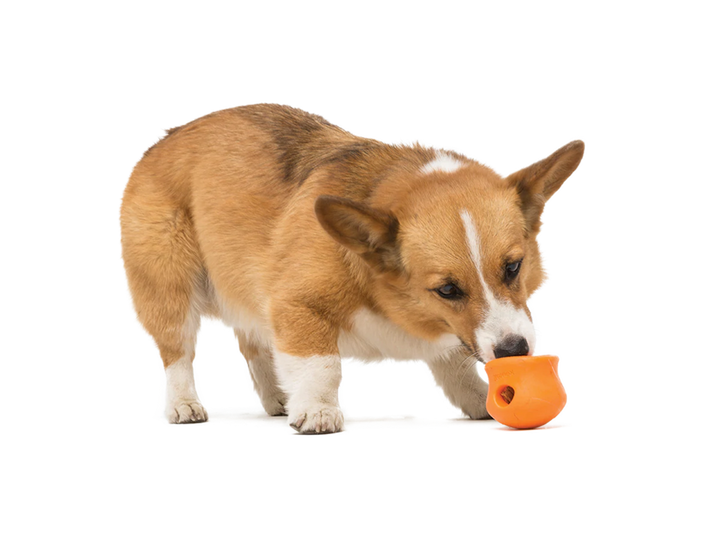 Toppl Treat Dispensing Dog Toy