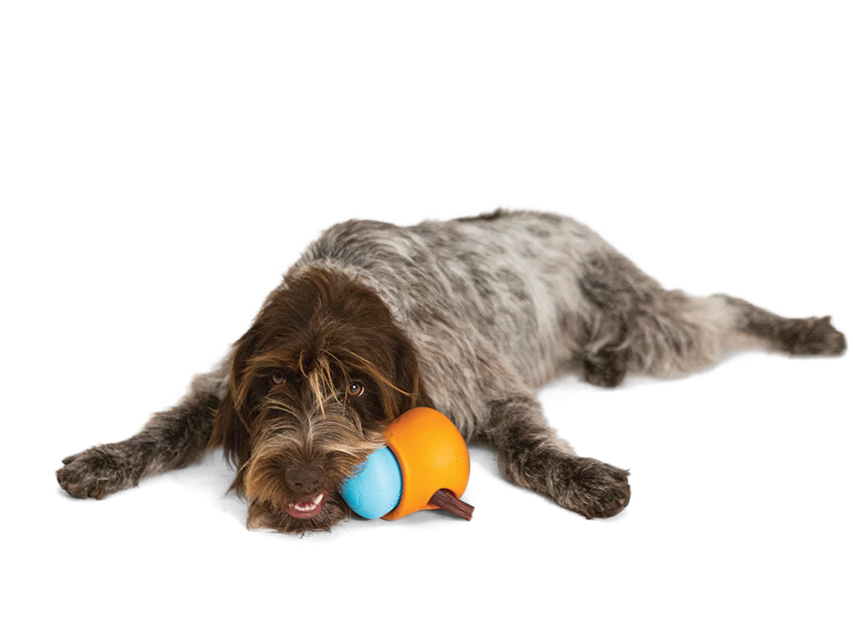 Toppl Treat Dispensing Dog Toy