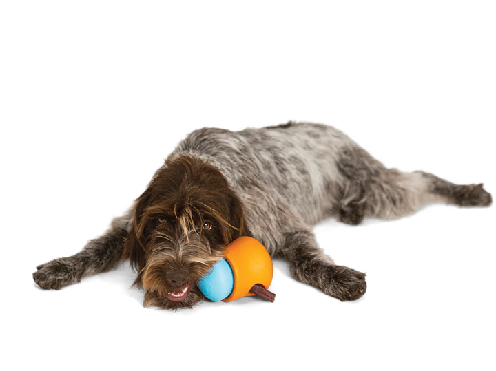 Toppl Treat Dispensing Dog Toy