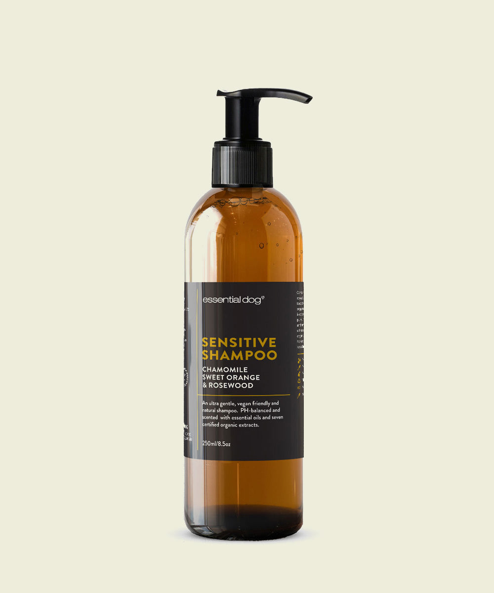 Sensitive Shampoo: Chamomile, Sweet Orange & Rosewood