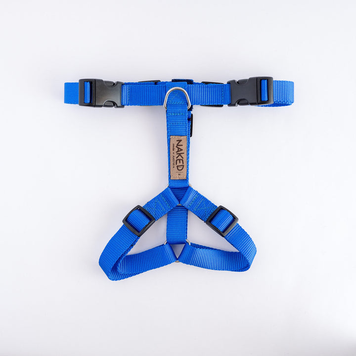 Naked Harness *