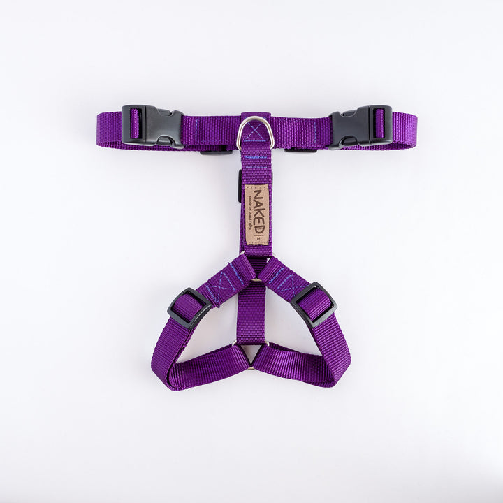 Naked Harness *