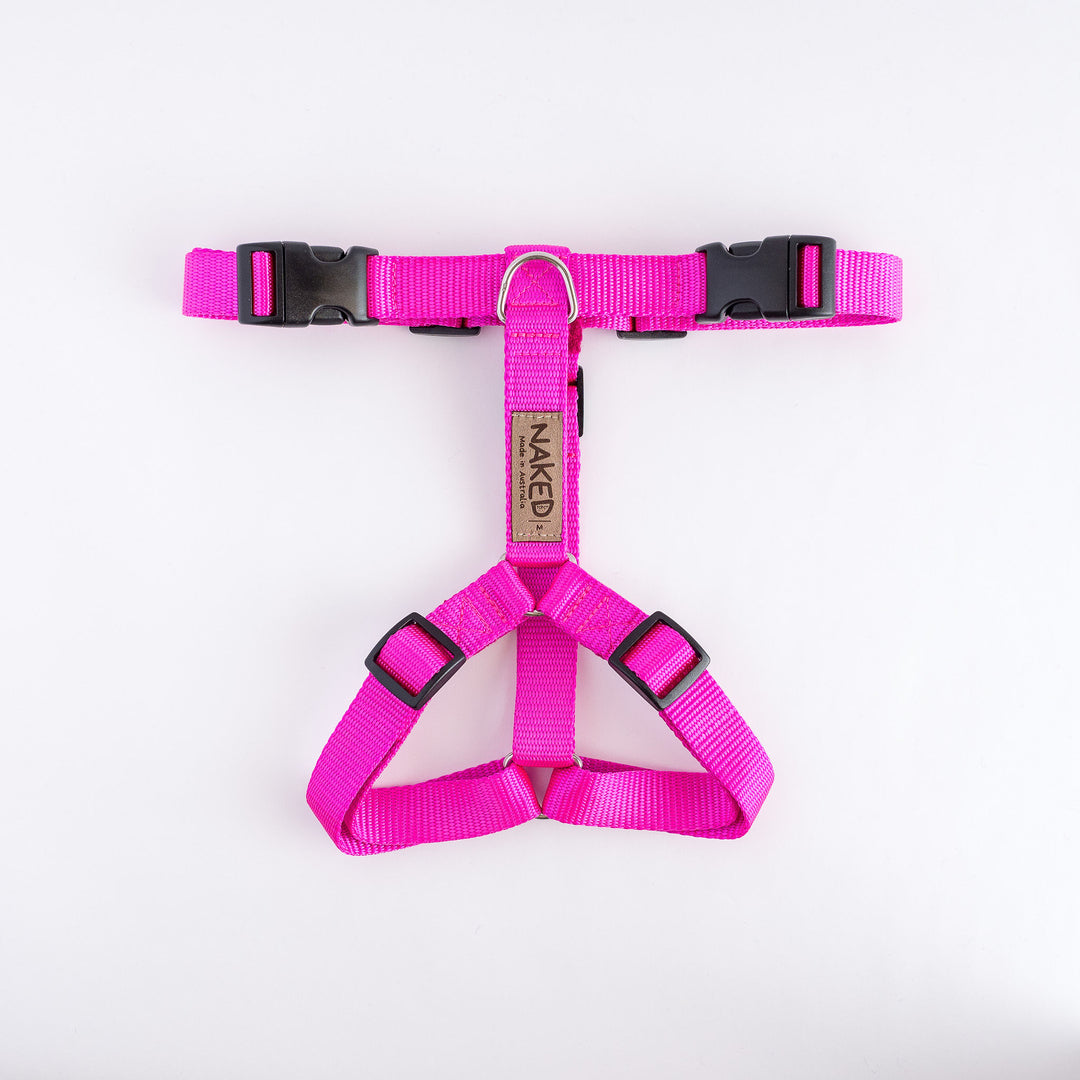 Naked Harness *