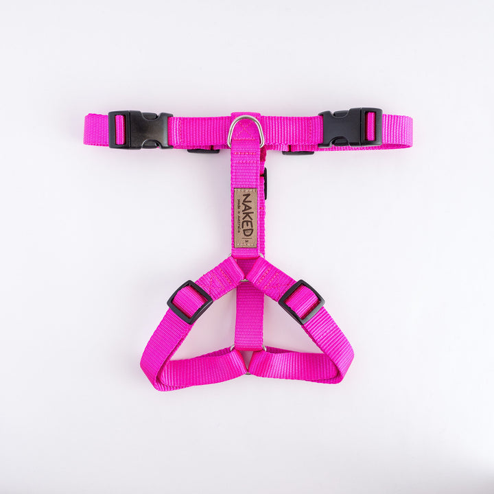 Naked Harness *