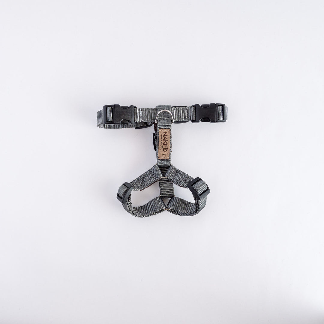 Naked Harness *