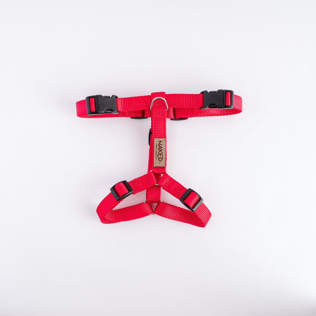 Naked Harness *