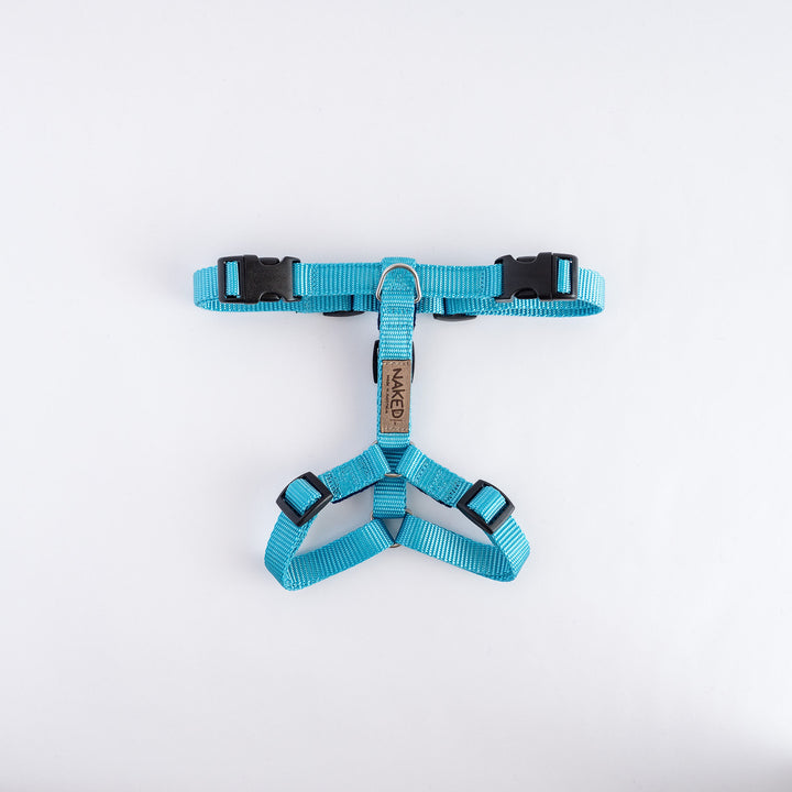 Naked Harness *