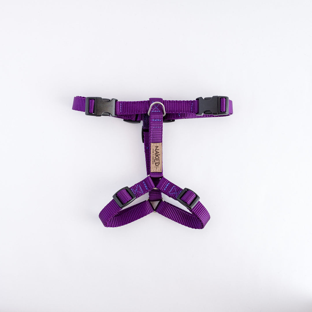 Naked Harness *